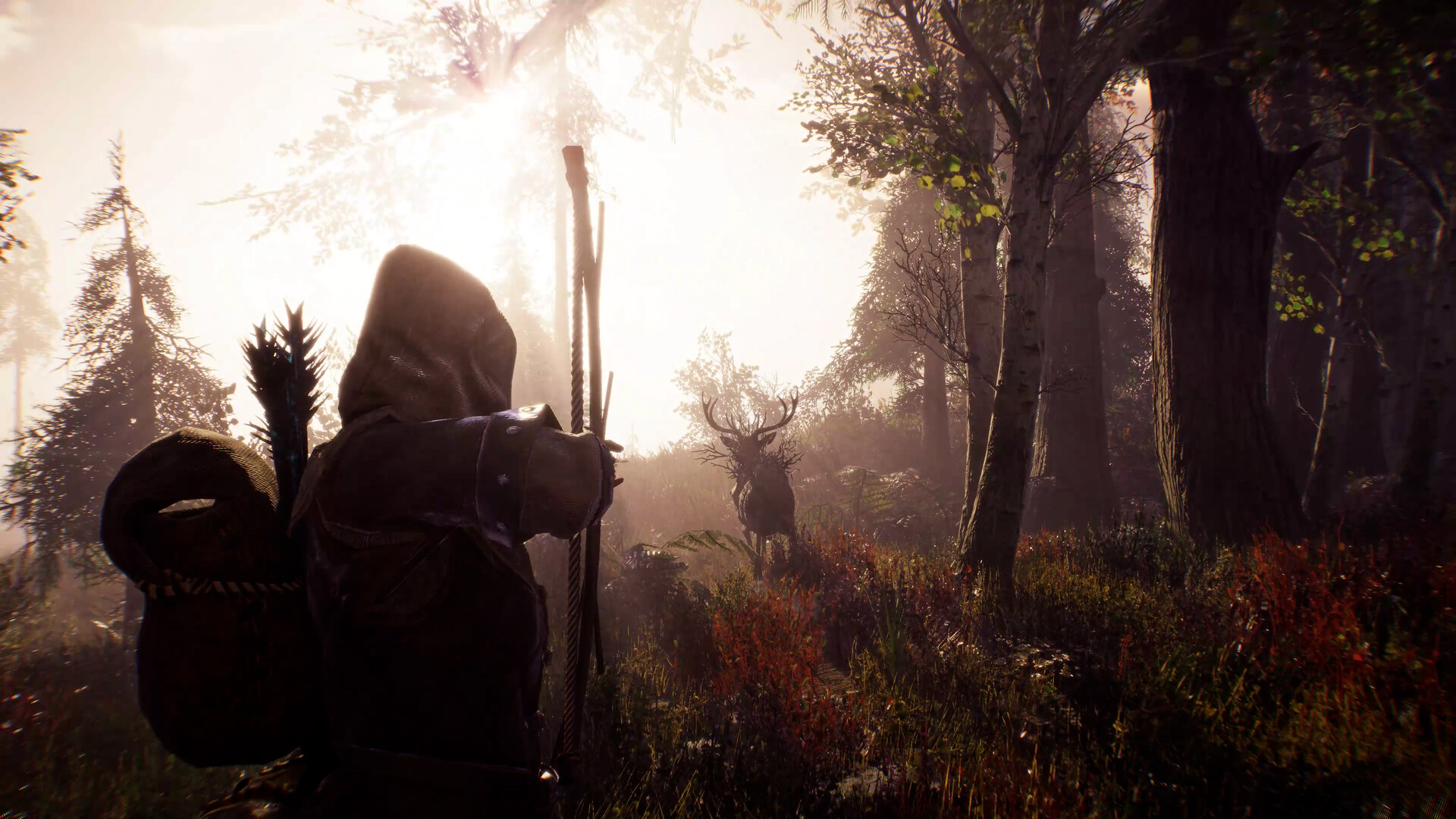 Aska: Beginner's Guide & Best Tips gameplay screenshot