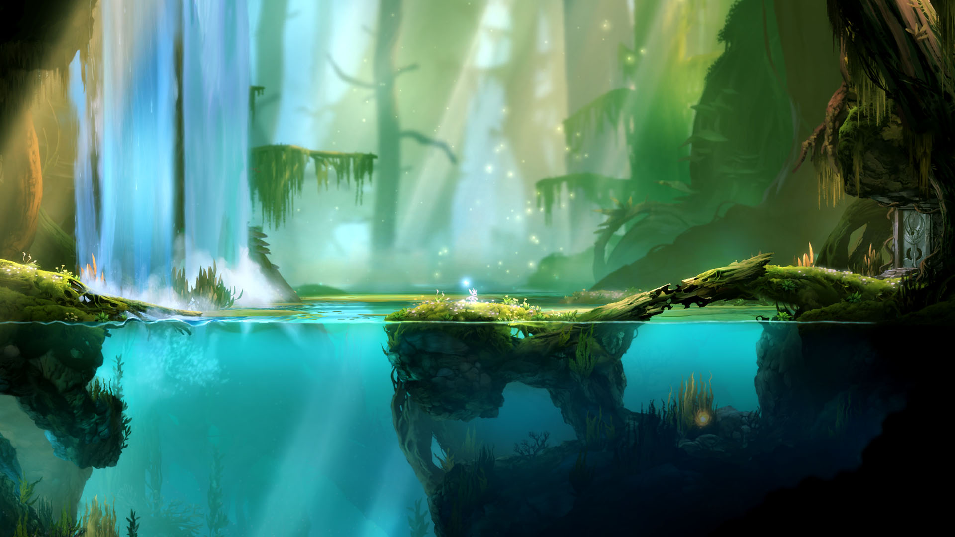 Ori and the Blind Forest: Beginner's Guide & Best Tips gameplay screenshot
