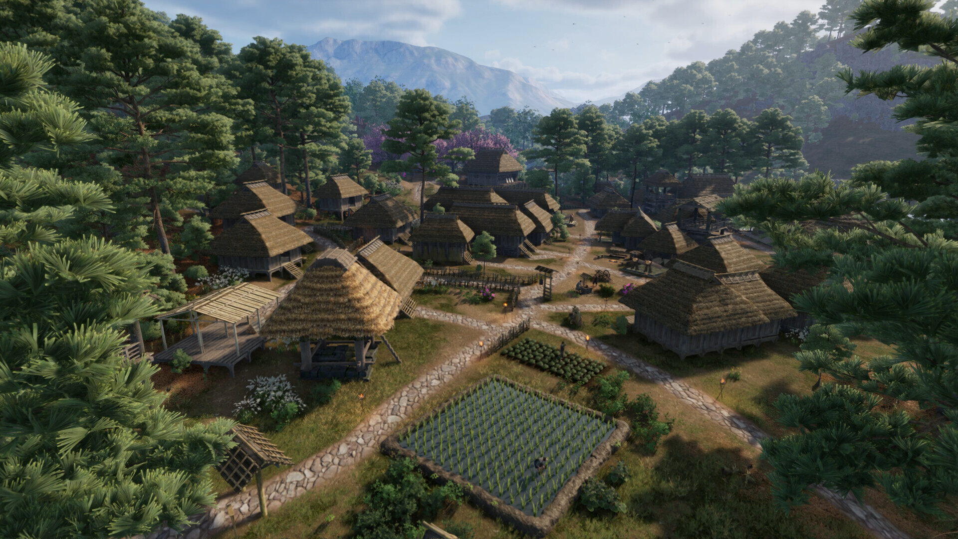 Sengoku Dynasty: Beginner's Guide & Best Tips gameplay screenshot